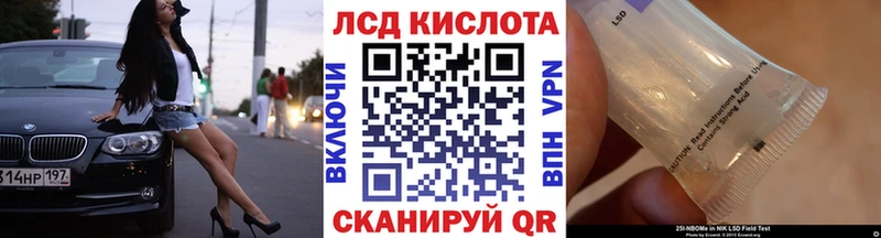 Наркотические марки 1500мкг  MEGA как зайти  Карачев  купить наркоту 