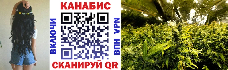 Шишки марихуана сатива Карачев